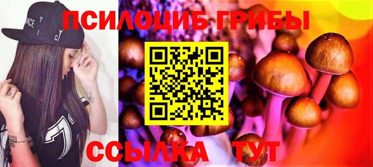 Псилоцибиновые грибы Cubensis Джанкой